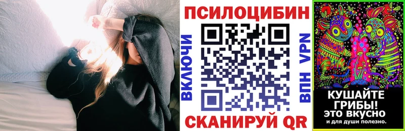 Галлюциногенные грибы Cubensis Ноябрьск